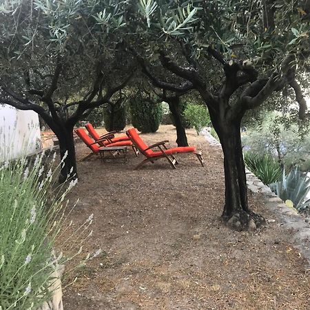 Le Clos en Provence Flayosc Habitación foto