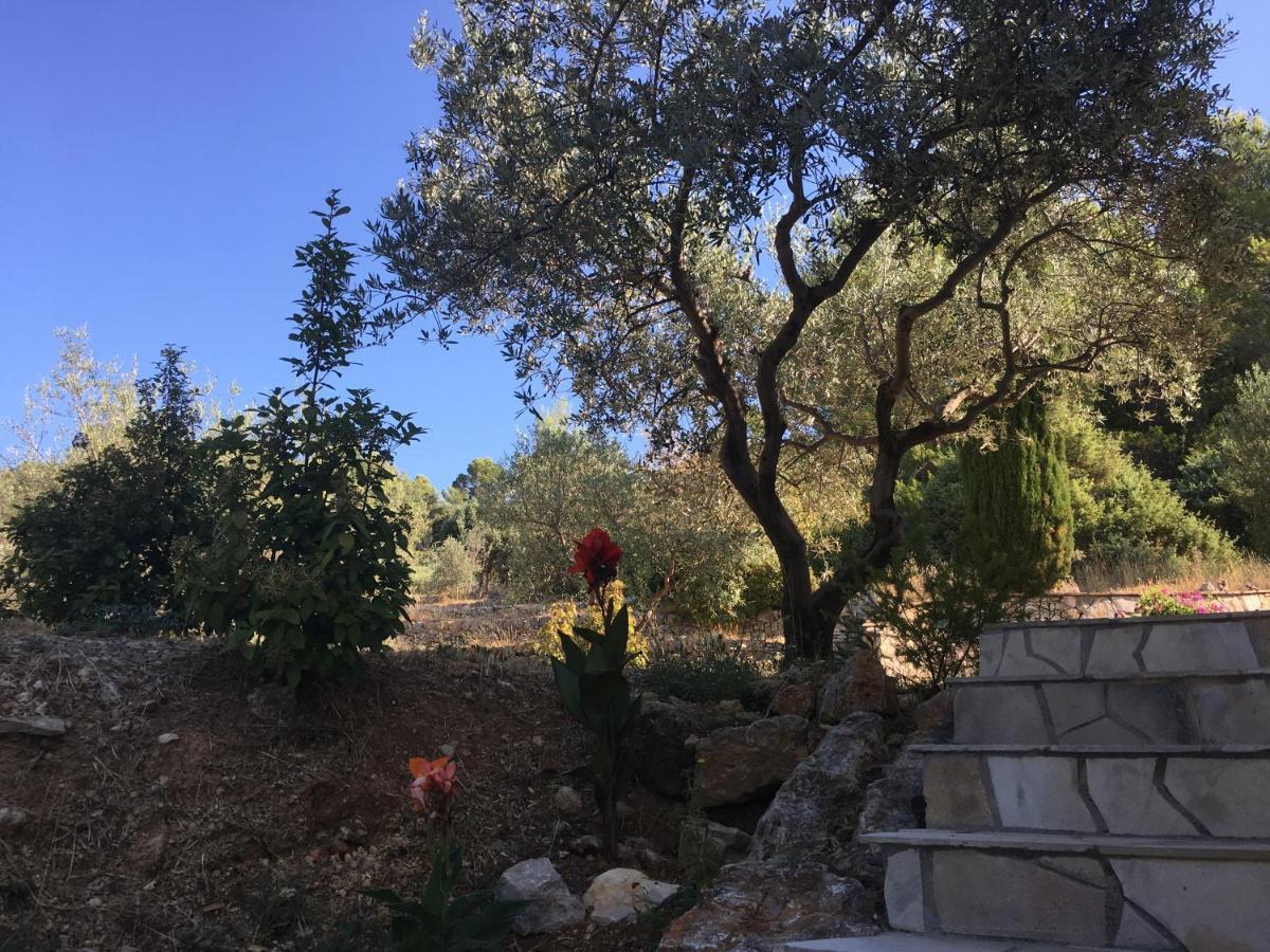 Le Clos en Provence Flayosc Exterior foto