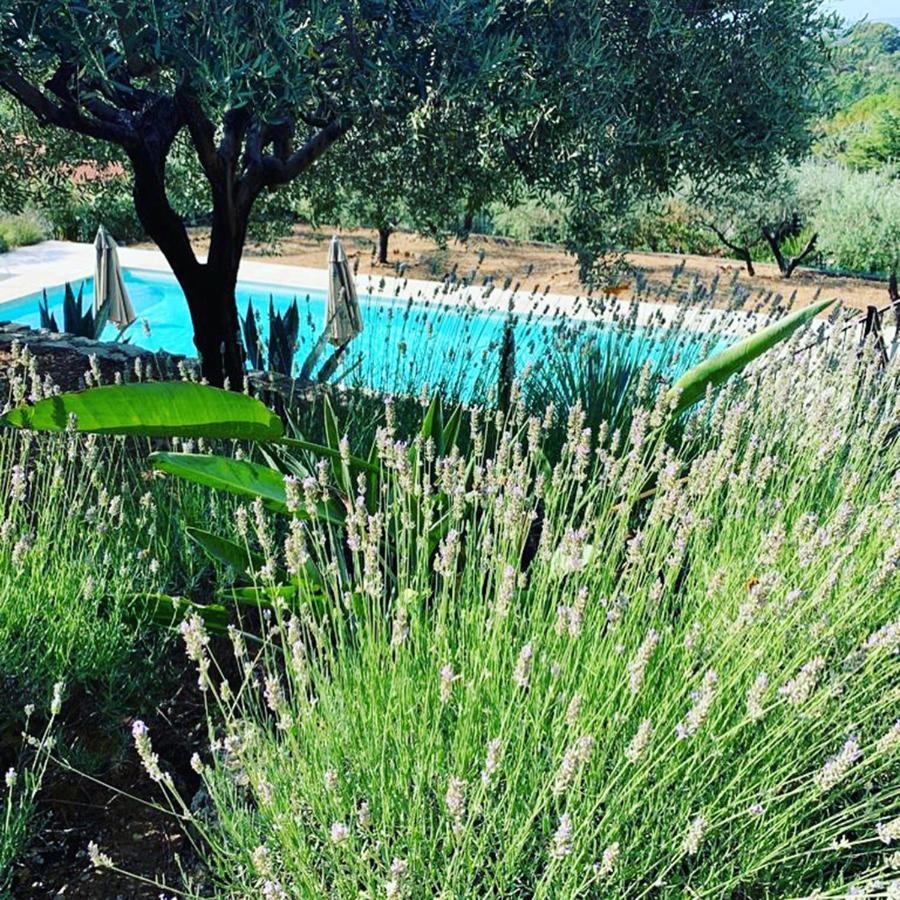 Le Clos en Provence Flayosc Exterior foto