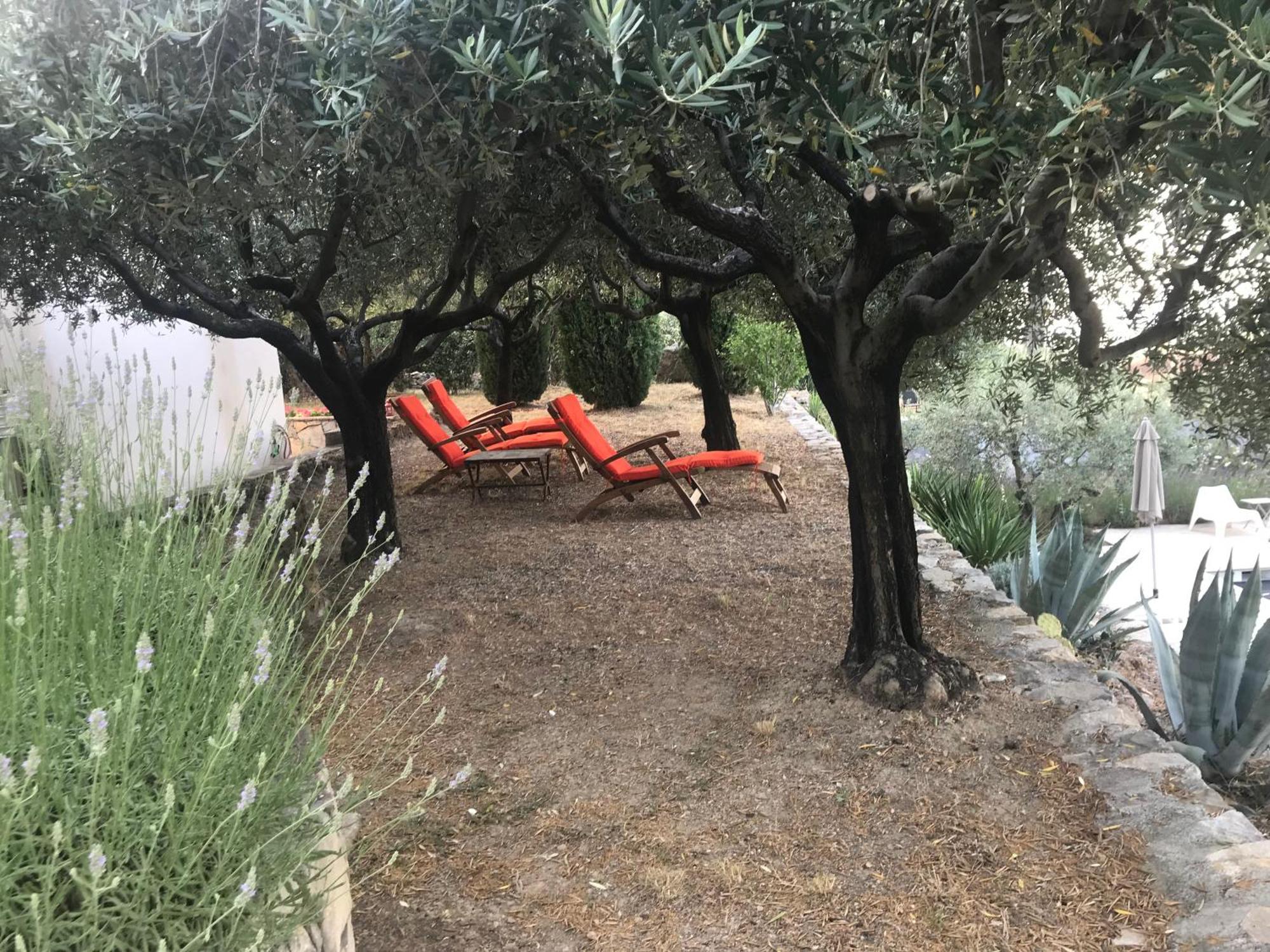 Le Clos en Provence Flayosc Habitación foto